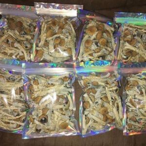 San francisco mushroom shop California.