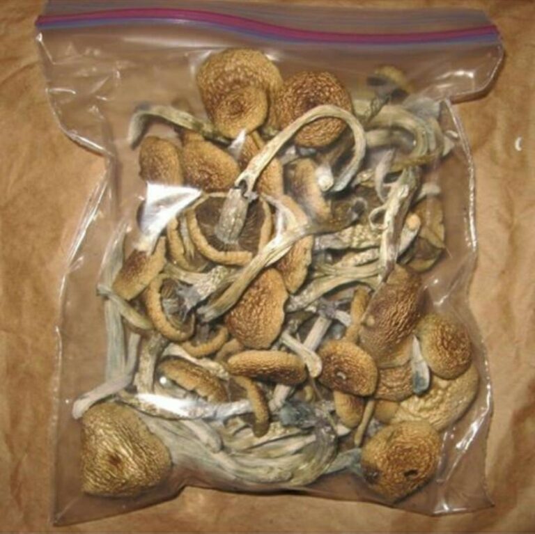 Golden Teacher mushrooms for sale California
