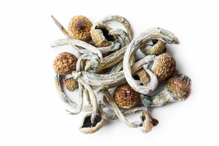 Order Blue Meanie mushrooms California